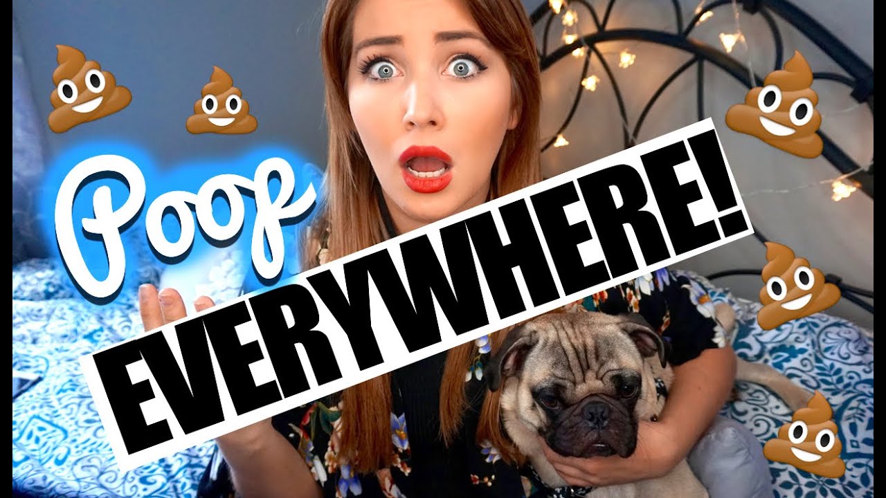 MOST EMBARRASSING POOP STORY EVER!!! YouTube
