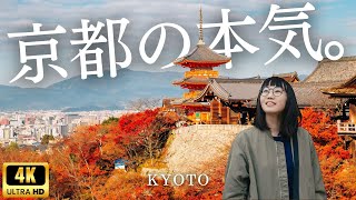 Sub) Travel to Kyoto in the best time🍁 Kyoto in autumn is the most beautiful ｜Japan