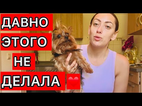 ПОТРАТИЛА ВСЕ ДЕНЬГИ КУПИЛА ЗАПРЕСЩЁНКУ    В ГЕРМАНИИ ♥️