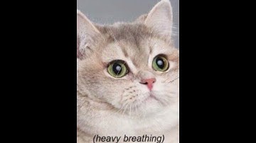 When the party doesn