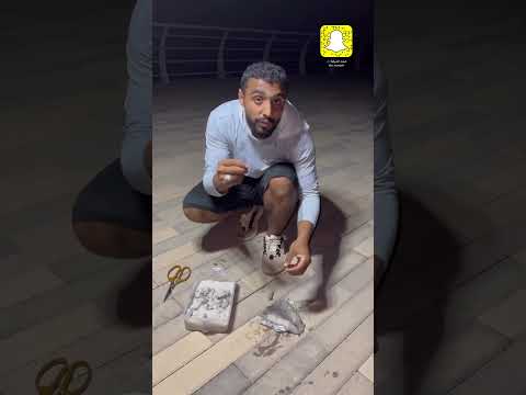 أفضل وأقوى طعم لصيد السمك       