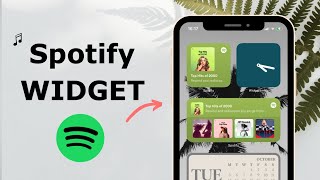 New! Official Spotify Widget for iPhone : How to download and use the new Spotify Widget screenshot 2