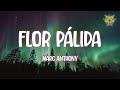 Marc Anthony - Flor Pálida ( Letra/Lyrics )