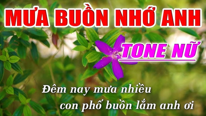 Mưa Buồn Nhớ Anh Karaoke Tone Nữ - Nhạc Sống 1990