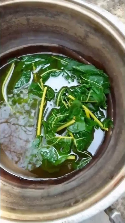 how to treat a limp, lethargic, pale chicken #video shorts