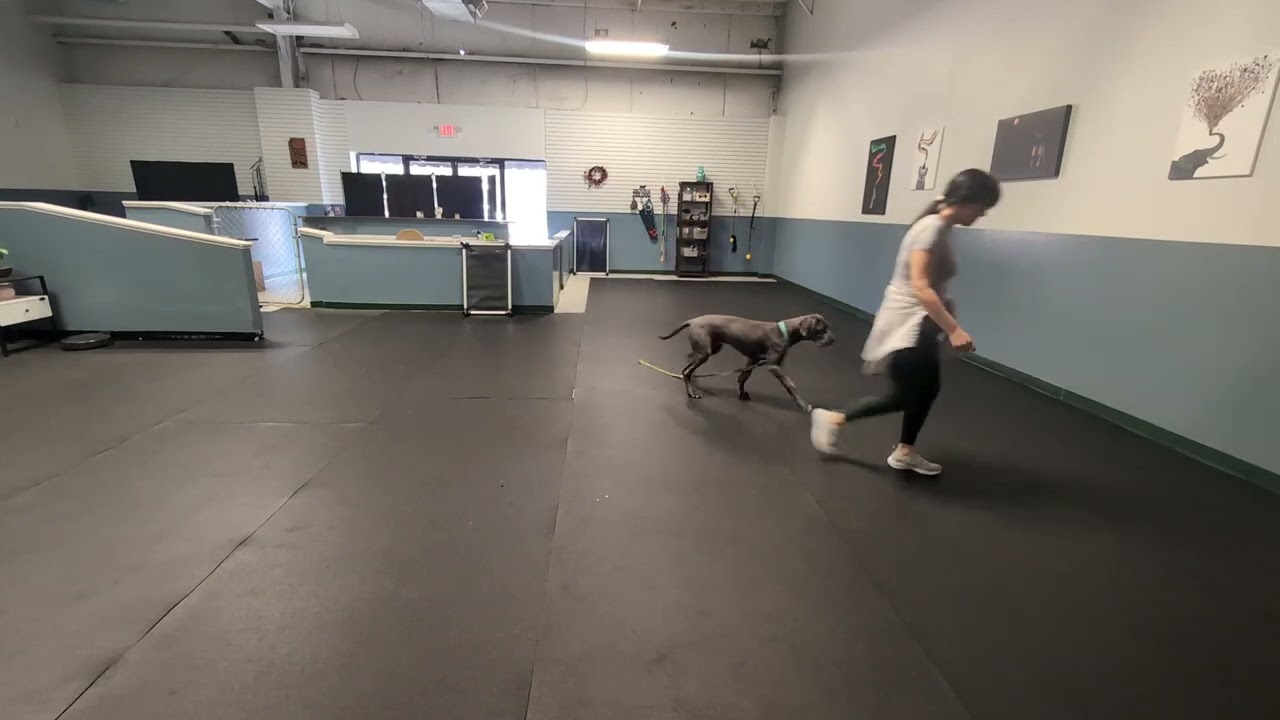 Freya part 2 More play