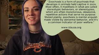 A Deep Dive into the Ethics of Zoos