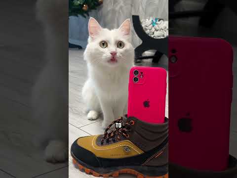 Are these sprunki?