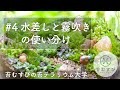 #4 水差しと霧吹きの使い分け【苔テラリウム】