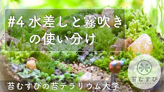 #4 水差しと霧吹きの使い分け【苔テラリウム】