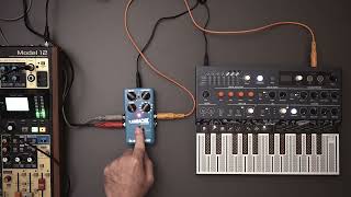 Tc Electronic flashback 2 for synth (The best budget multi delay) in stereo !