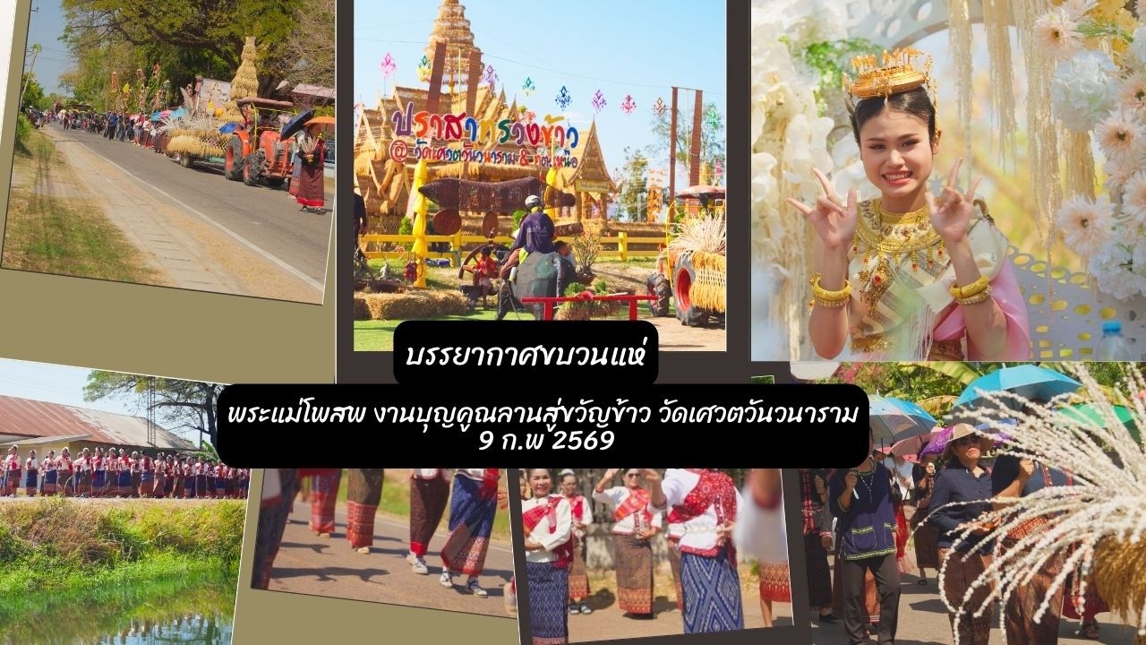 บรรยากาศขบวนแห่พระแม่โพสพ งานบุญคูณลานสู่ขวัญข้าว วัดเศวตวันวนาราม กาฬสินธุ์ 9 กพ 2569