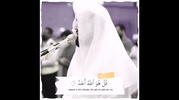 سورة الاخلاص قارئ رعد الكردي