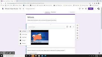 Adding video to a Google Form