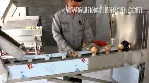 Onion Stem Root Cutting Peeling Machine