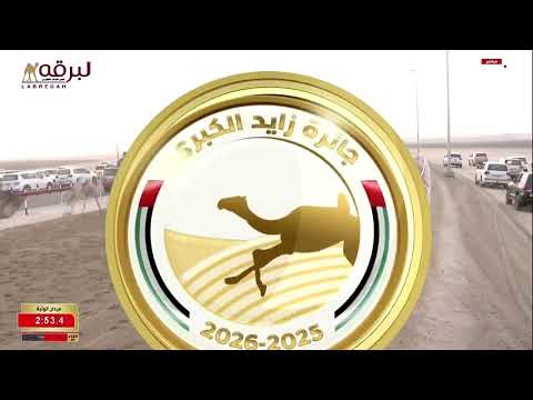 ش3 راية ل أحمد معيوف بالكدش العامري مهرجان جائزة زايد الكبرى 24 11 2025ص حقايق بكار 5 54 04