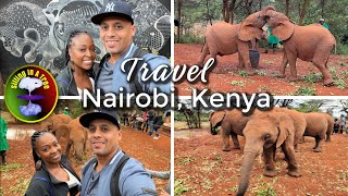 Kenya Travel Diaries: We Adopted a Baby Elephant | Sheldrick Elephant Orphanage #nairobi