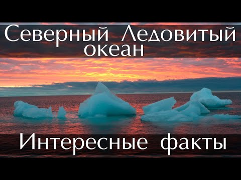 Северный Ледовитый океан - Интересные факты