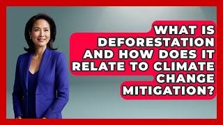 Famous What Is Deforestation And How Does It Relate To Climate Change Mitigation? - Making Politics Simple Profile