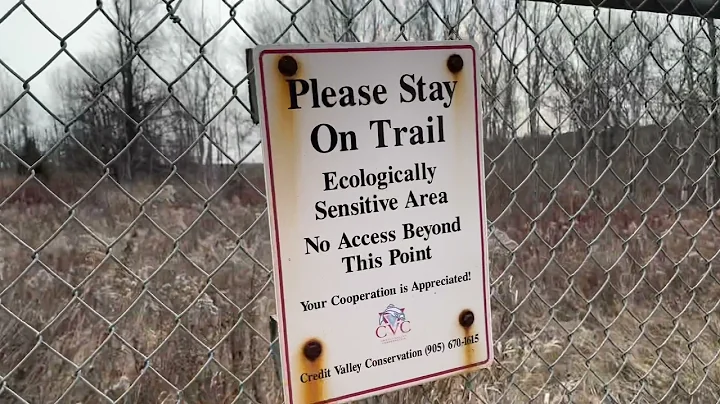 Vicki Barron Lakeside Trail - Island Lake Conserva...