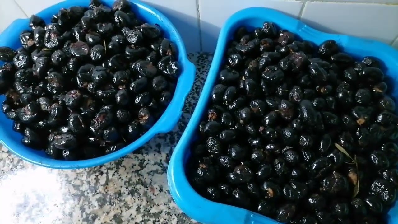 طريقة جديدة لترقيد الزيتون الأسود المدقوق منسم بمانتة لي تقدرو توجدوه ف 10 أيام