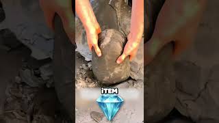 1 Million Year Old Rock