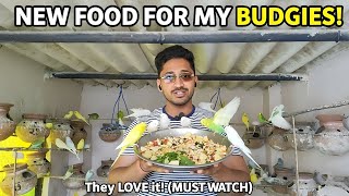 Bird 🐦 ko khilaao ye chiz maja aajayega #birdingparadise #food #maja 
