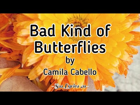 Bad Kind Of