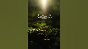 {أَفَلا يَتُوبُونَ إِلَى اللَّهِ}القارئ عبدالرحمن مسعد🌧|تلاوه هادئه🥺🤍|#quran