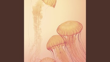 Uplifting Backdrops for Finding Clarity