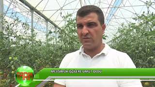 Mevsimlik işçilere umut oldu