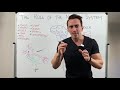 Unraveling the Complexities of the Nervous System