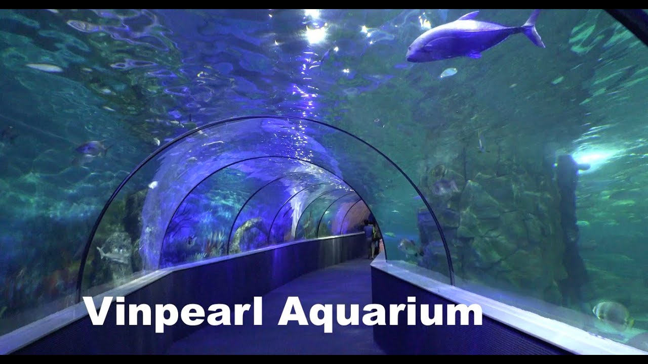 Vinpearl Aquarium    Underground Aquarium  in a Shopping 