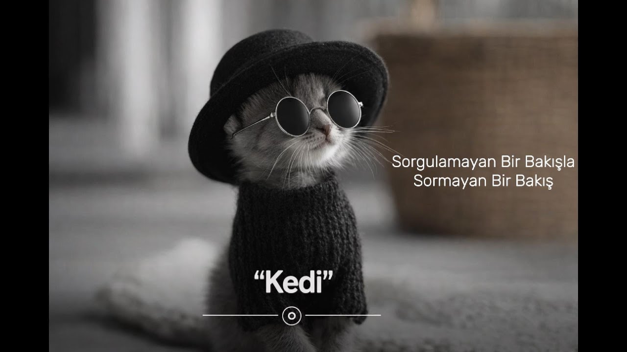 Kedi l Sorgulamayan Sormayan Bakışlar l İndie Alternative Rock, Psychedelic Rock, Blues Rock