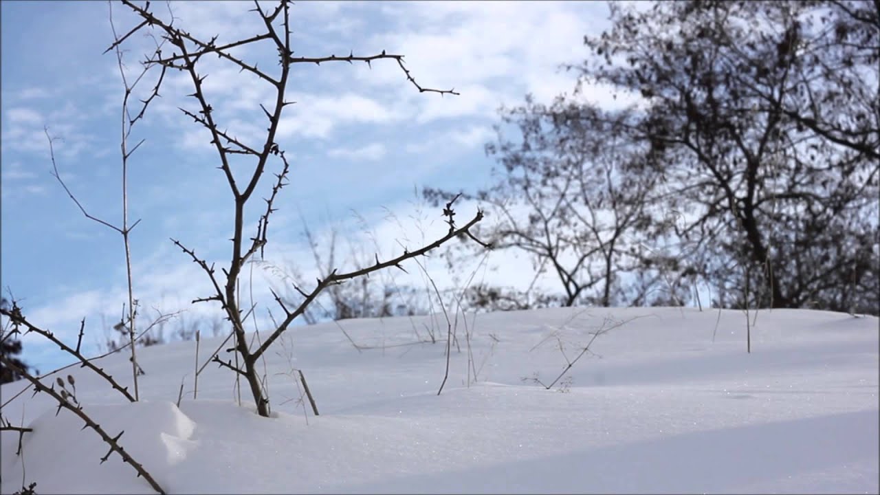 Winter by H P Nichols EEA 2013