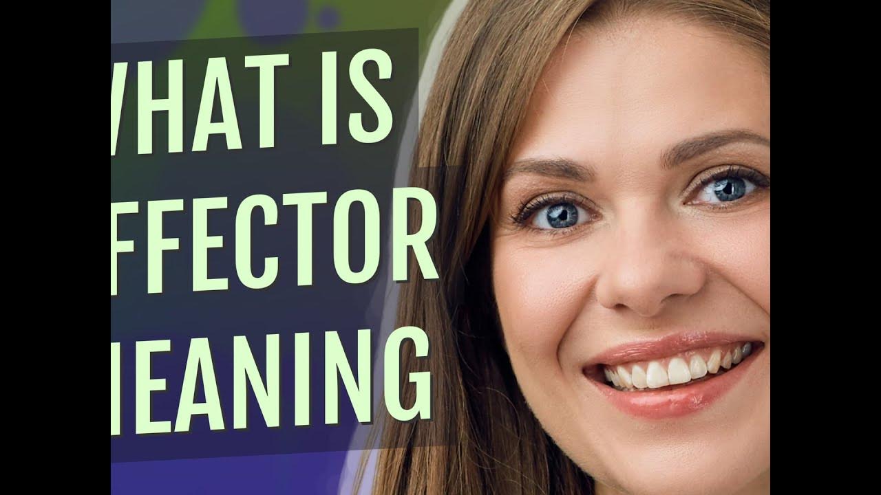 Effector meaning of Effector YouTube