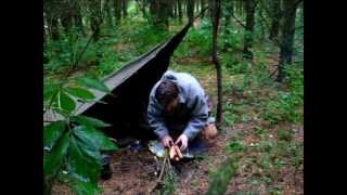 A break in the woods   with a surprice guest