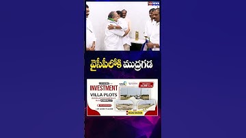 Mudragada Padmanabham Joins YCP Inpresence Of CM Jagan | Janasena | Pawan Kalyan | VN Telugu