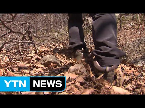 [날씨] 바람 약해졌지만 건조특보 계속...화재 유의 / YTN