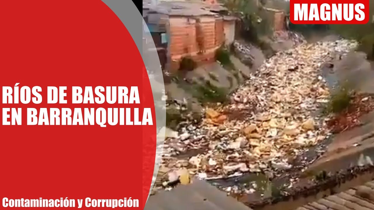 Ríos de basura en Barranquilla | Las consecuencias de la contaminación ...