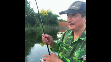 Câu các lóc bông tại hồ Đồng Mô mới #Shorts