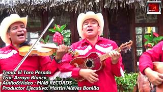 Trió: Arroyo Blanco " El Toro Pesado" ( Video Oficial)