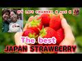 The Best Japan Strawberry