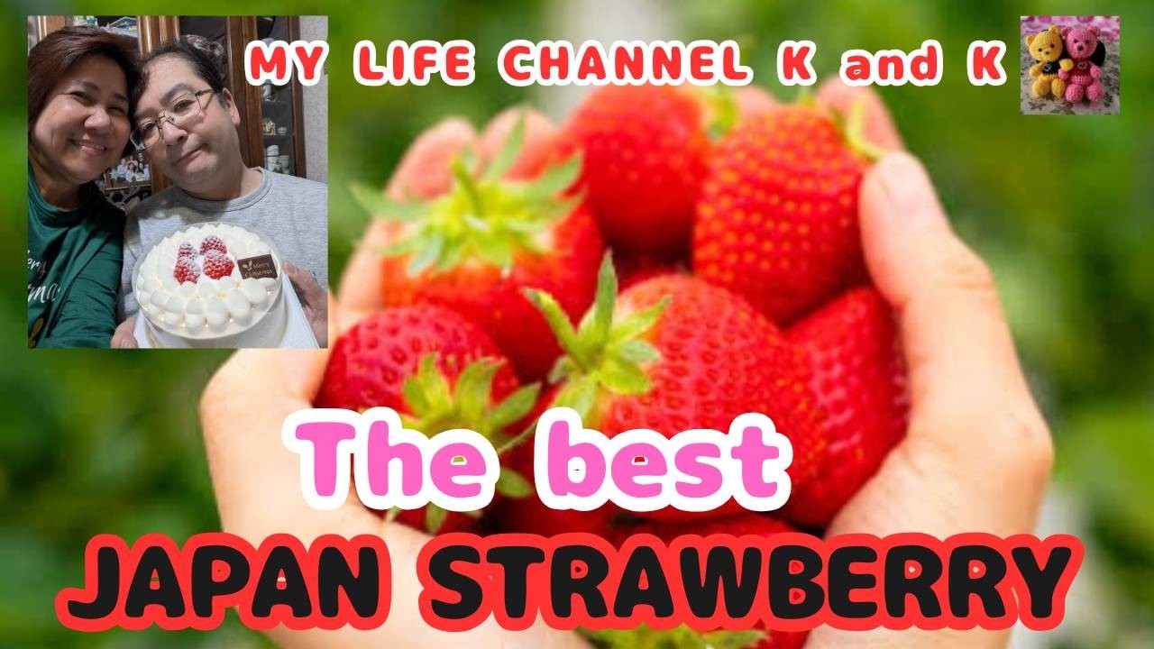 The Best Japan Strawberry