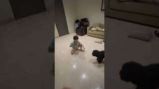 Ben & Nara New Dog