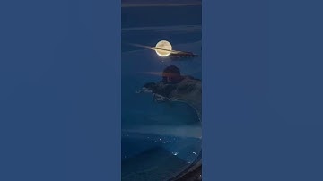 سورة القدر #لیلةالقدر#