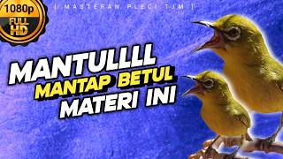 🔴 LIVE Masteran Pleci Joss Materi Tembakan Mantapp !!!