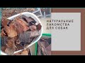 Какие лакомства можно собакам? Собственное производство натуральных вкусняшек из говядины.