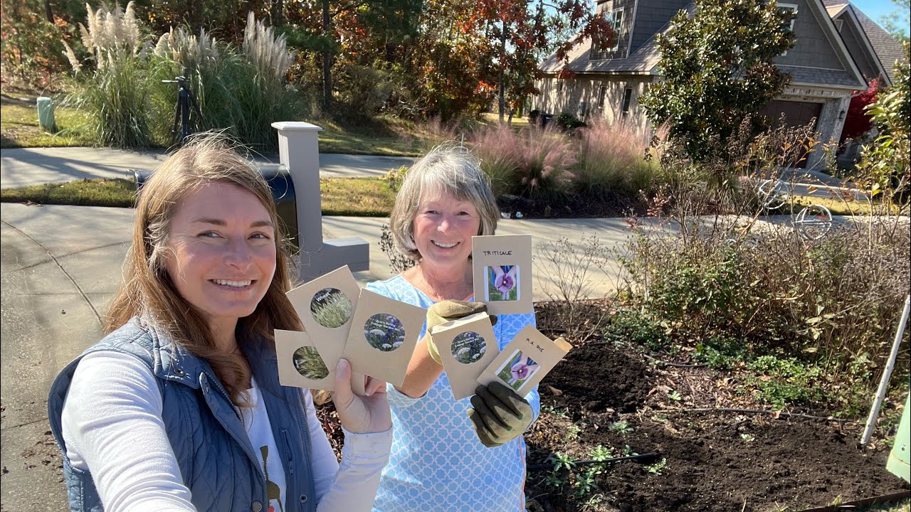 Полное руководство по посеву маков и других семян для сада и огорода