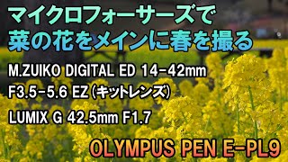 M.ZUIKO DIGITAL ED 14-42mm F3.5-5.6 EZ&LUMIX G 42.5mm F1.7とOLYMPUS PEN E-PL9で菜の花をメインに春を撮る
